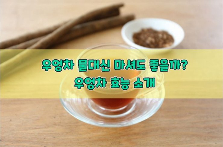 우엉차 물 대신 마셔도 좋을까? 우엉차 효능 소개 - 샌슨의 행복한 세상