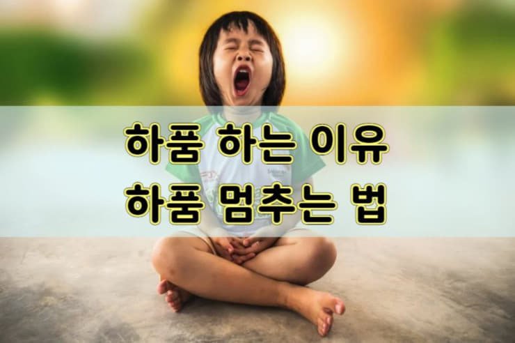 하품 하는 이유 하품 멈추는 법 - 샌슨의 행복한 세상