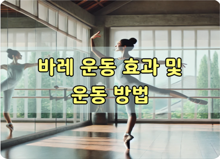 바레 운동 효과 및 운동 방법 - 샌슨의 행복한 세상